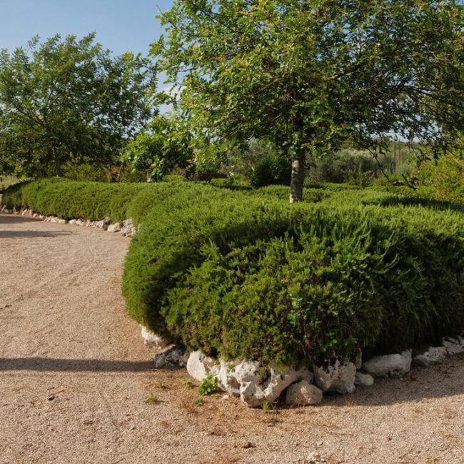 giardino kalandini